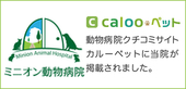 ミニオン動物病院　calooペット