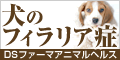 犬のフィラリア症